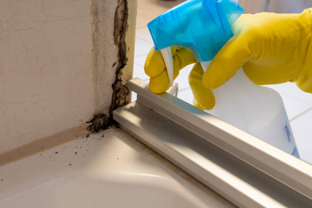 Best Mold Testing  in Campbell, FL