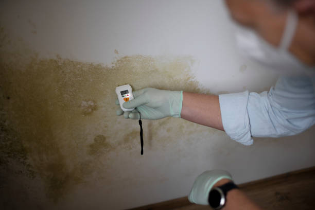 Best Water Damage Restoration  in Campbell, FL