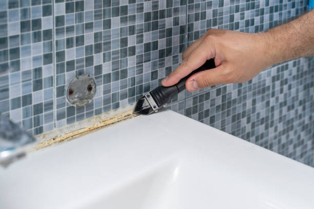 Best Residential Mold Removal  in Campbell, FL